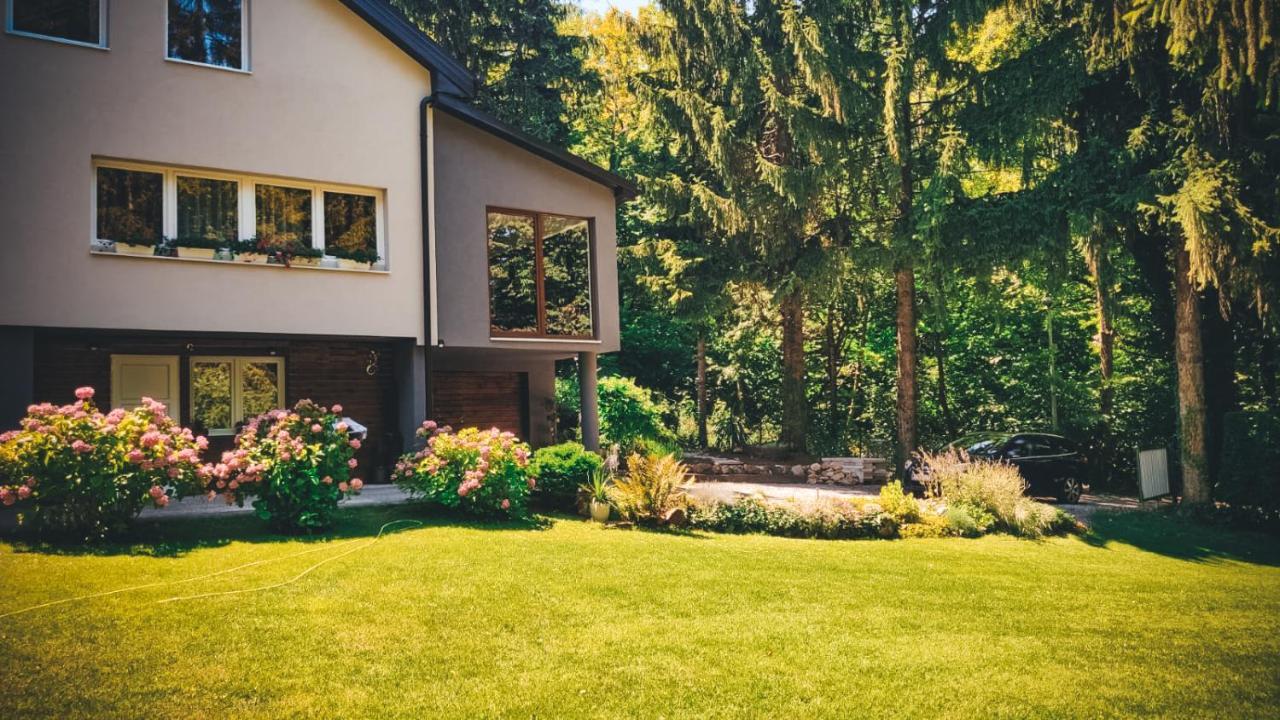 Villa-Apartments Bognar Velika Екстериор снимка