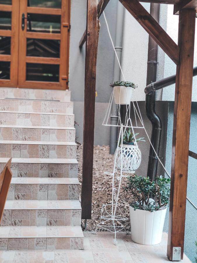 Villa-Apartments Bognar Velika Екстериор снимка
