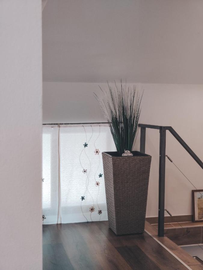 Villa-Apartments Bognar Velika Екстериор снимка