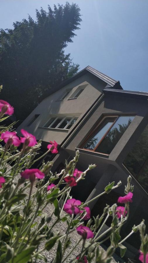 Villa-Apartments Bognar Velika Екстериор снимка